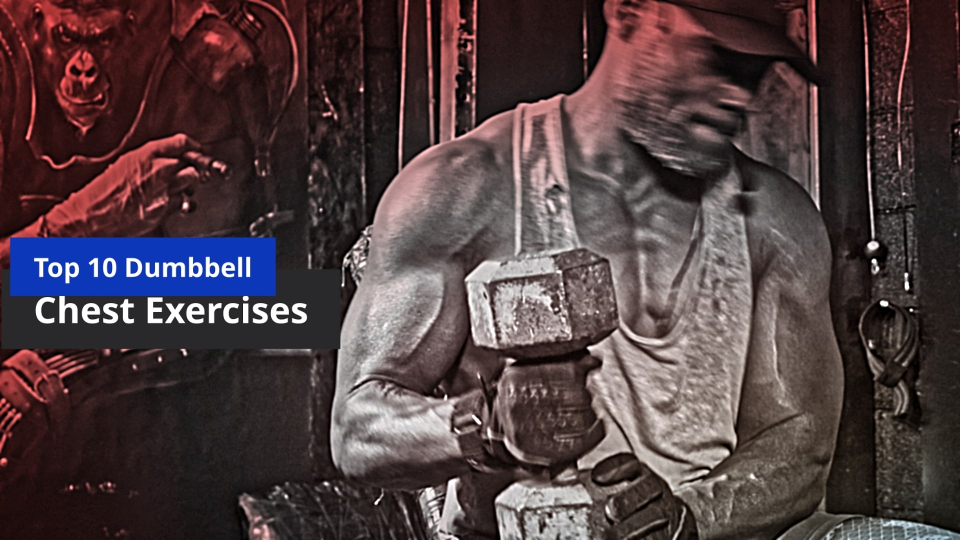 Top 10 Dumbbell Chest Exercises