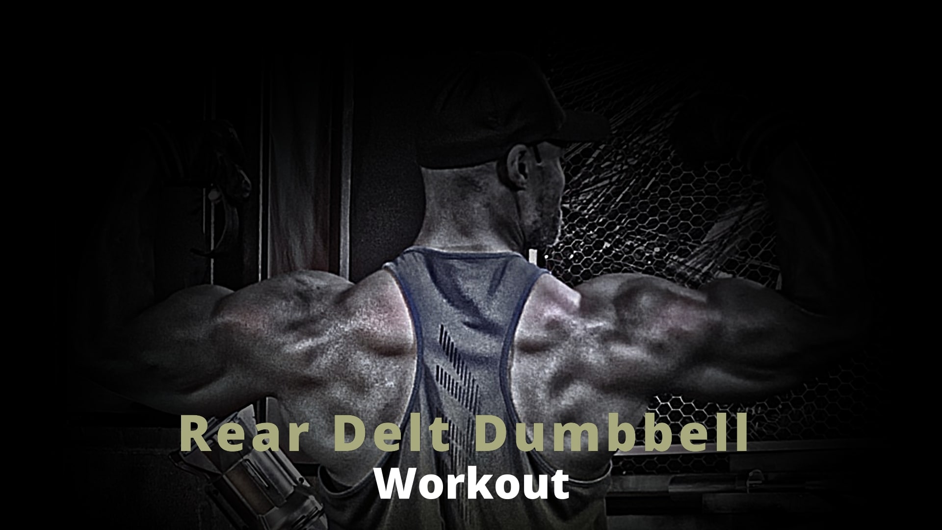 Rear Delt Workout