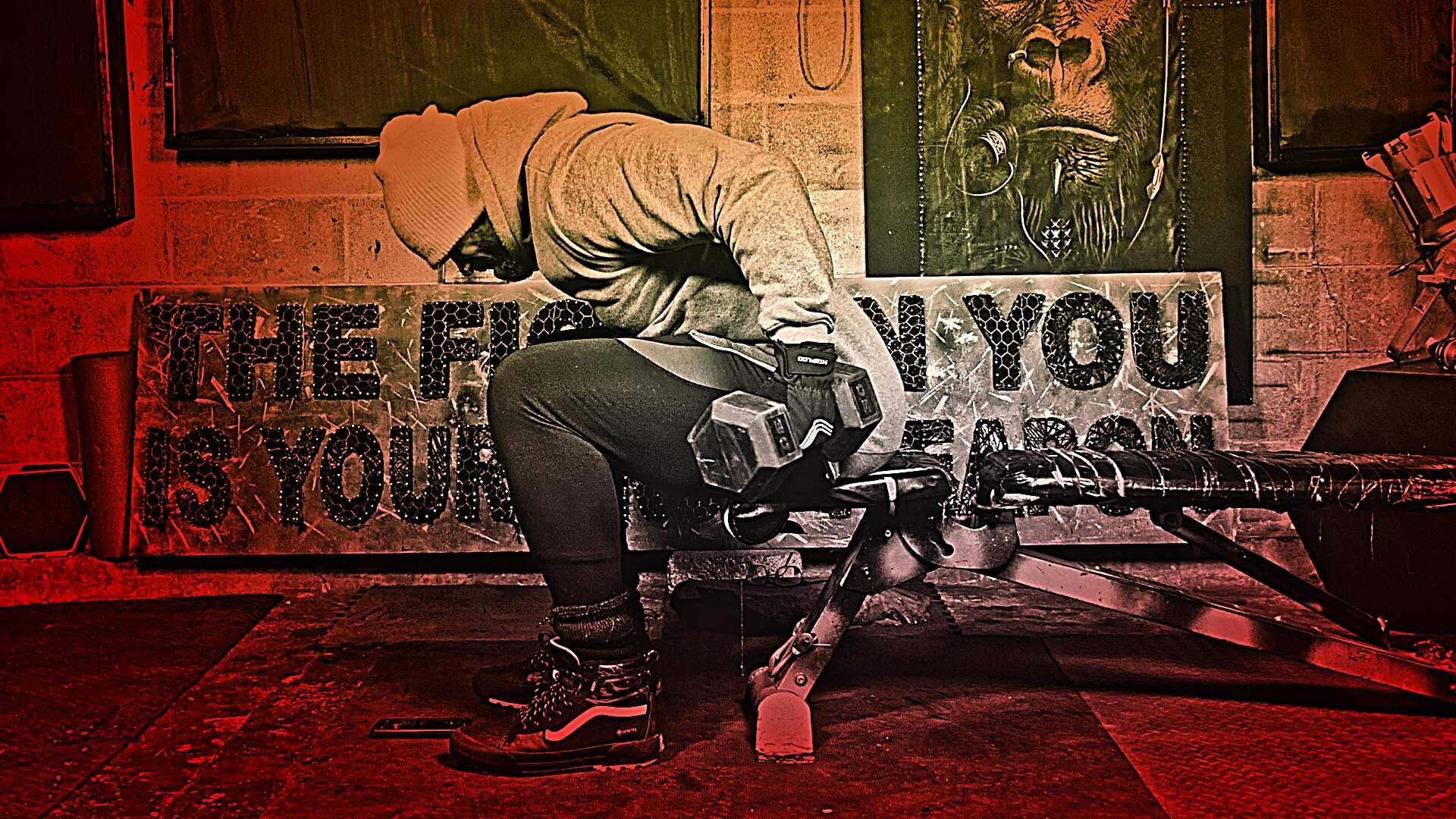 Seated Dumbbell Reverse Row