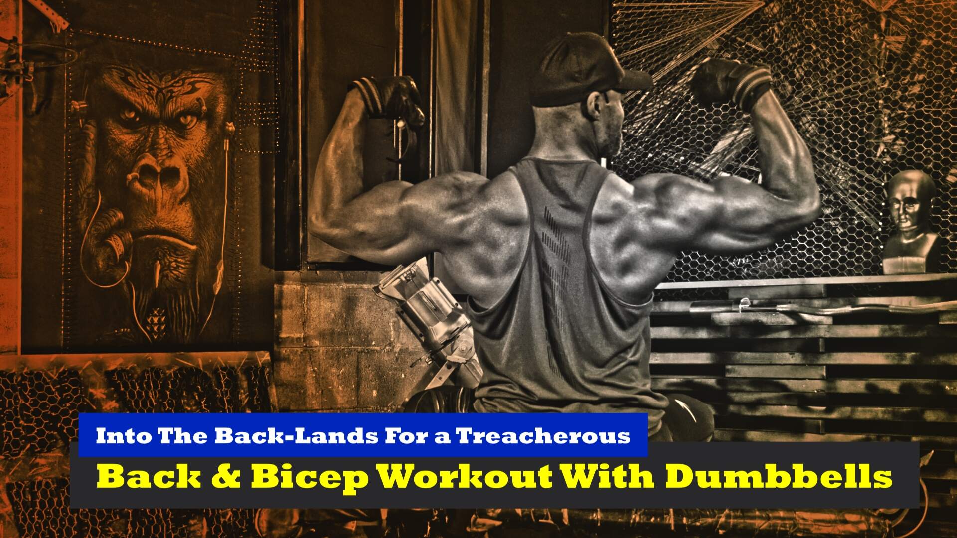 Back and Bicep Workout With Dumbbells