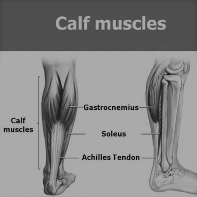 Calf Raise With Dumbbell Calf Muscle
